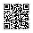 QR Code (код быстрого отклика)