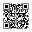 QR Code (код быстрого отклика)