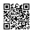 QR Code (код быстрого отклика)