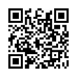 QR Code (код быстрого отклика)
