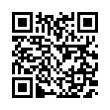 QR Code (код быстрого отклика)