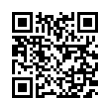 QR Code (код быстрого отклика)