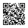 QR Code (код быстрого отклика)