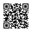 QR Code (код быстрого отклика)