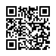 QR Code (код быстрого отклика)