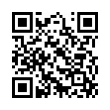 QR Code (код быстрого отклика)