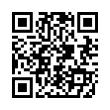 QR Code (код быстрого отклика)