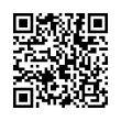QR Code (код быстрого отклика)