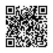 QR Code (код быстрого отклика)