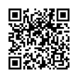 QR Code (код быстрого отклика)