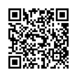 QR Code (код быстрого отклика)