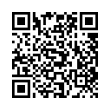 QR Code (код быстрого отклика)