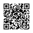 QR Code (код быстрого отклика)