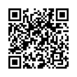 QR Code (код быстрого отклика)