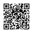 QR Code (код быстрого отклика)