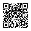 QR Code (код быстрого отклика)