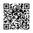 QR Code (код быстрого отклика)