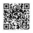 QR Code (код быстрого отклика)