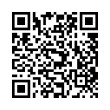 QR Code (код быстрого отклика)