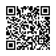 QR Code (код быстрого отклика)