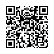 QR Code (код быстрого отклика)
