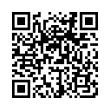 QR Code (код быстрого отклика)