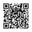 QR Code (код быстрого отклика)