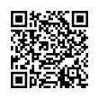 QR Code (код быстрого отклика)