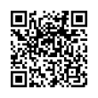 QR Code (код быстрого отклика)