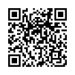 QR Code (код быстрого отклика)
