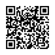 QR Code (код быстрого отклика)