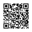 QR Code (код быстрого отклика)