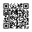 QR Code (код быстрого отклика)