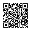 QR Code (код быстрого отклика)