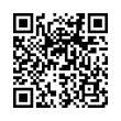 QR Code (код быстрого отклика)