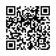 QR Code (код быстрого отклика)