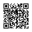 QR Code (код быстрого отклика)