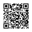 QR Code (код быстрого отклика)