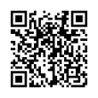 QR Code (код быстрого отклика)