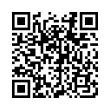 QR Code (код быстрого отклика)
