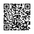 QR Code (код быстрого отклика)