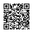QR Code (код быстрого отклика)