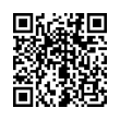 QR Code (код быстрого отклика)