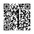 QR Code (код быстрого отклика)