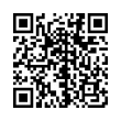 QR Code (код быстрого отклика)