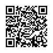 QR Code (код быстрого отклика)