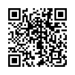 QR Code (код быстрого отклика)