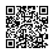 QR Code (код быстрого отклика)