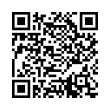QR Code (код быстрого отклика)