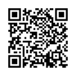 QR Code (код быстрого отклика)